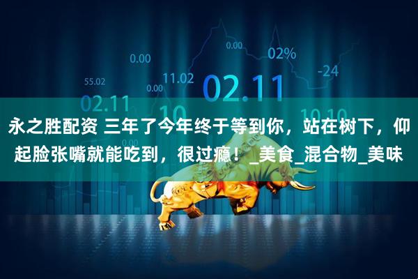 永之胜配资 三年了今年终于等到你，站在树下，仰起脸张嘴就能吃到，很过瘾！_美食_混合物_美味