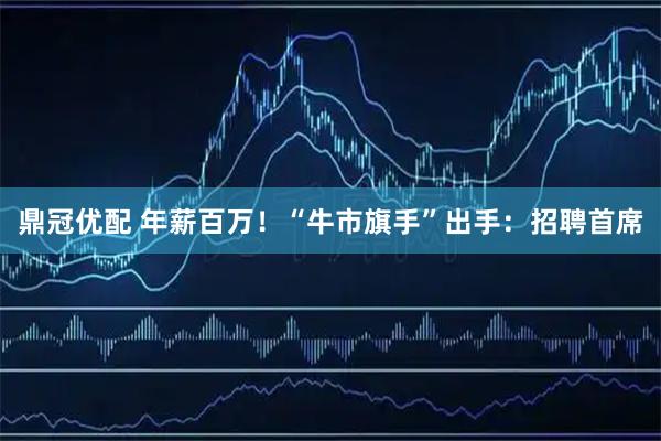 鼎冠优配 年薪百万！“牛市旗手”出手：招聘首席